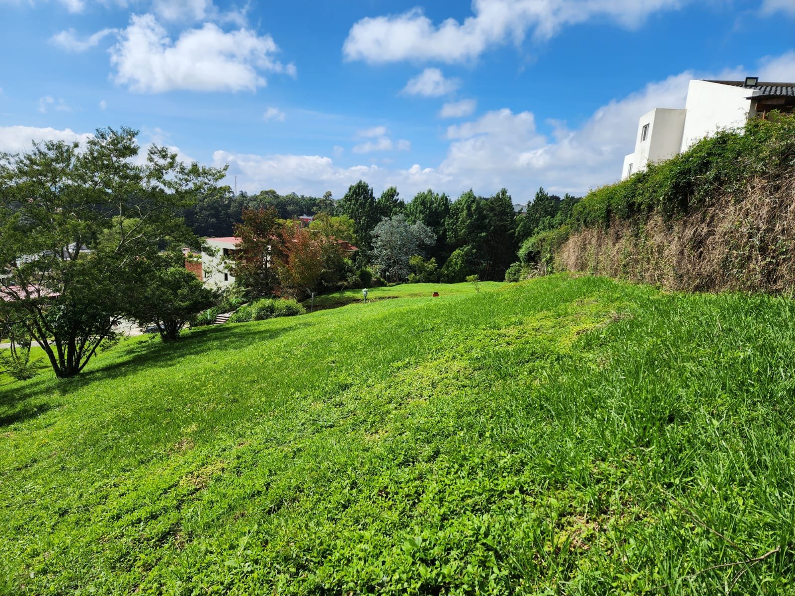 Terreno en venta Km. 20 en San German del Bosque CAES