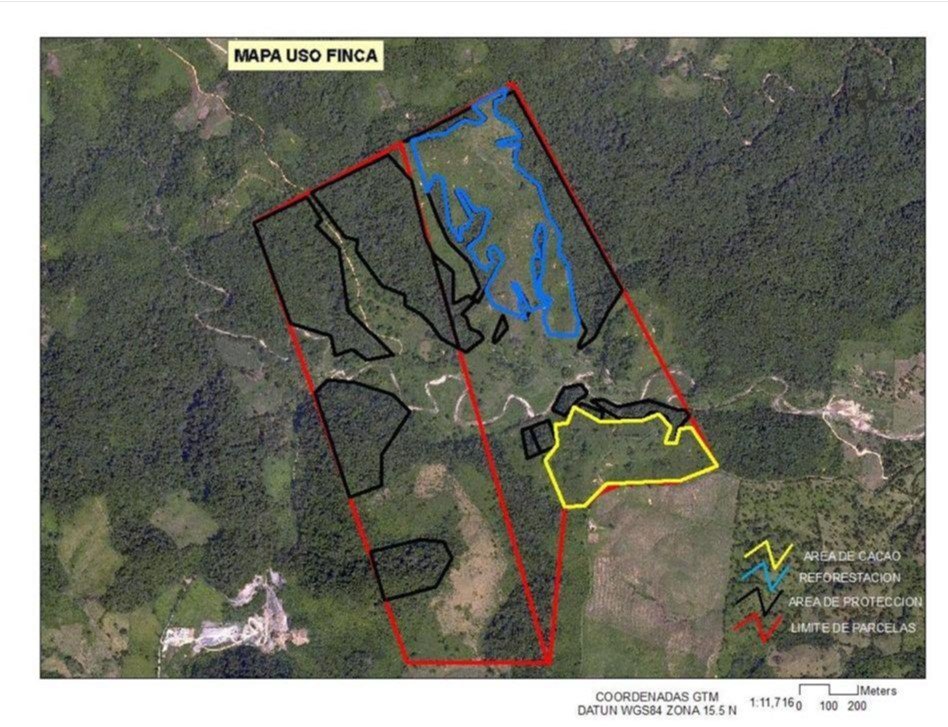 FINCA DE 4 CABALLERÍAS EN VENTA EN IZABAL