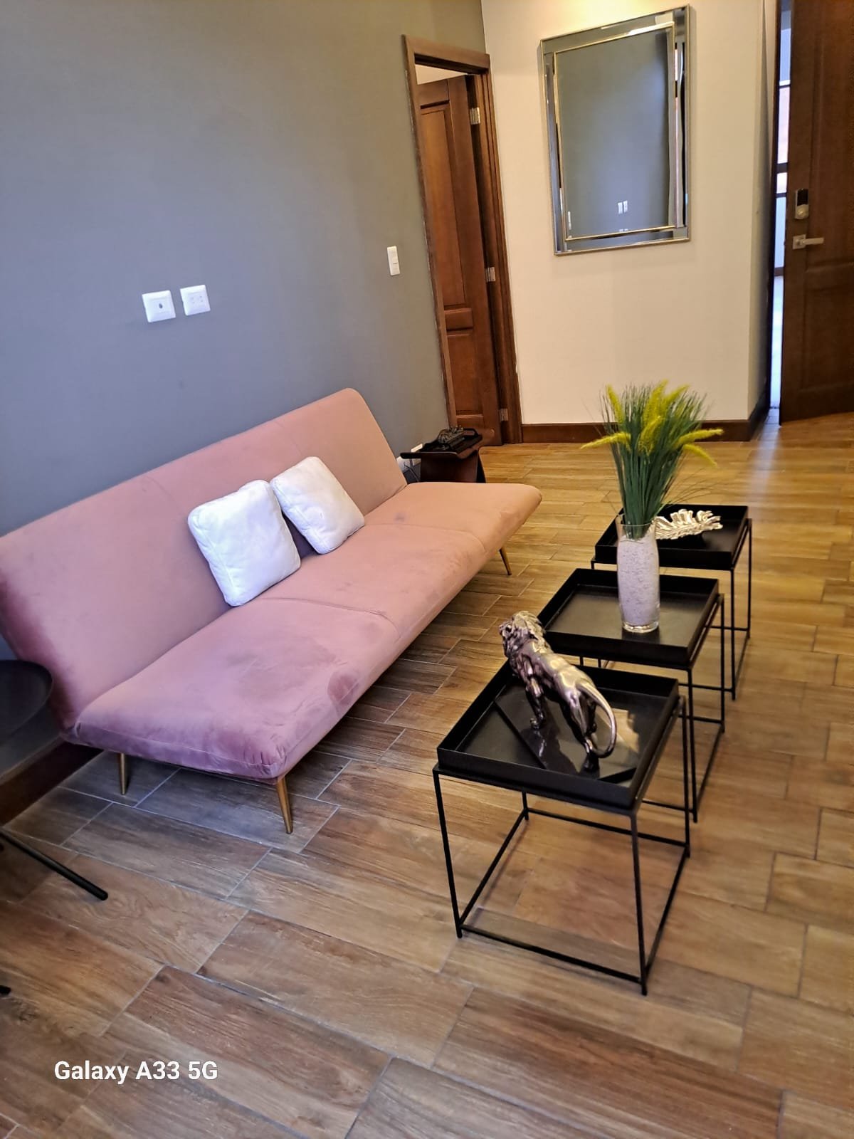Rento Apartamento Amueblado en  Zona 10