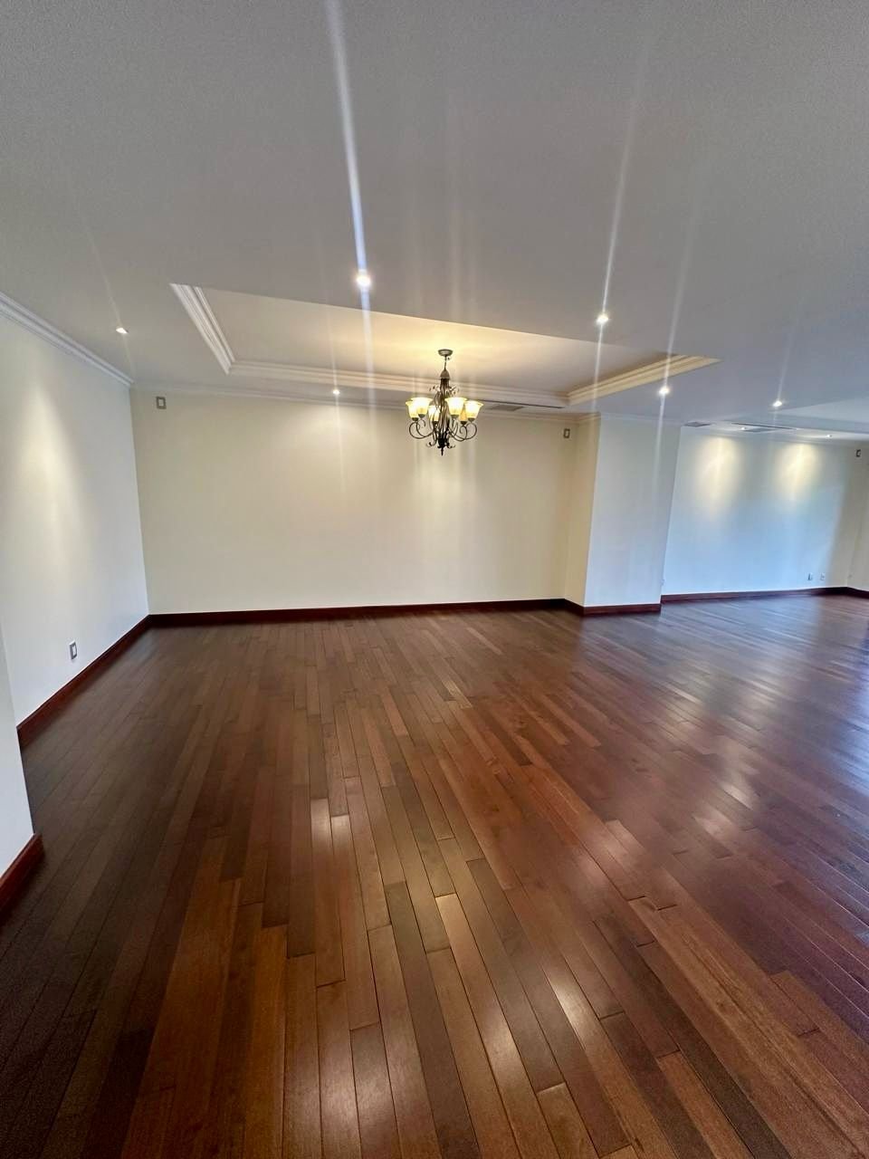 Rento Apartamento en zona 14