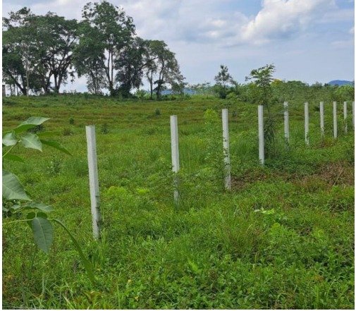 Terreno en Venta en Rio Dulce Izabal
