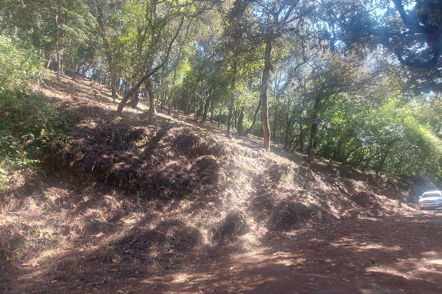Vendo Terreno en troncos del Encinal
