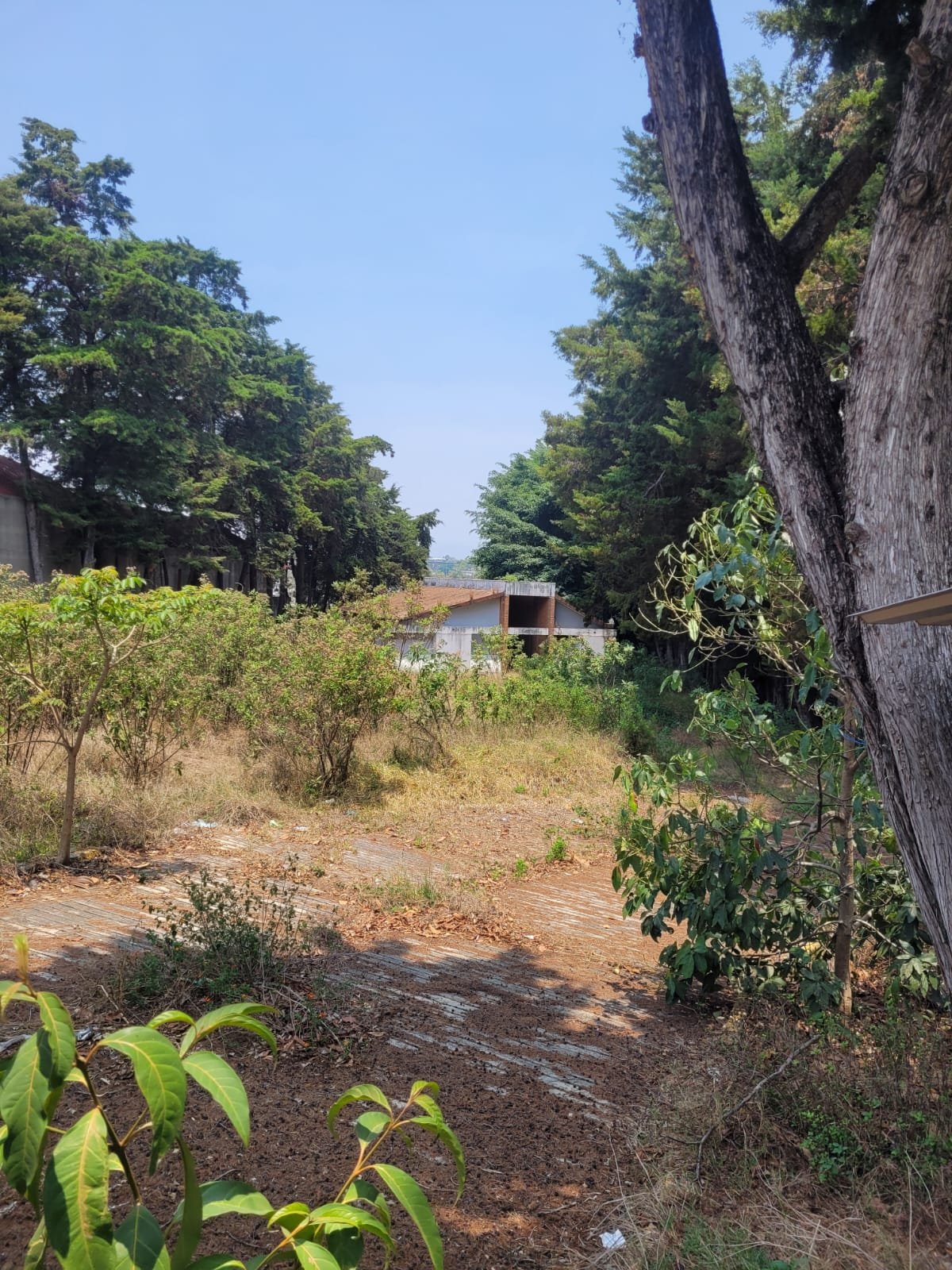 Vendo Terreno en zona 13