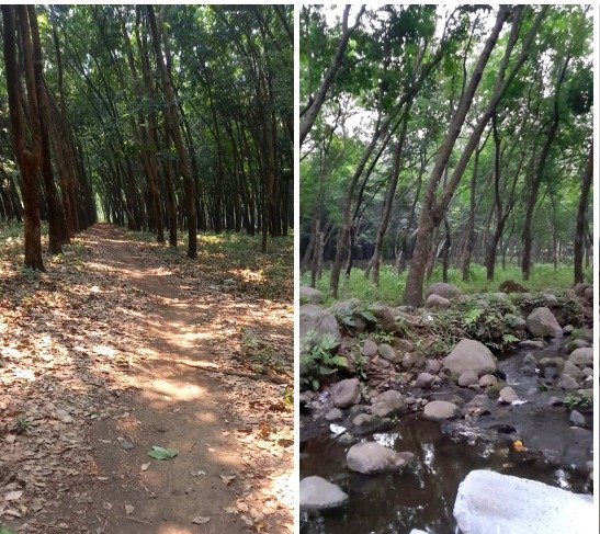 Vendo Terreno Comercial en Santa Bárbara Chipó