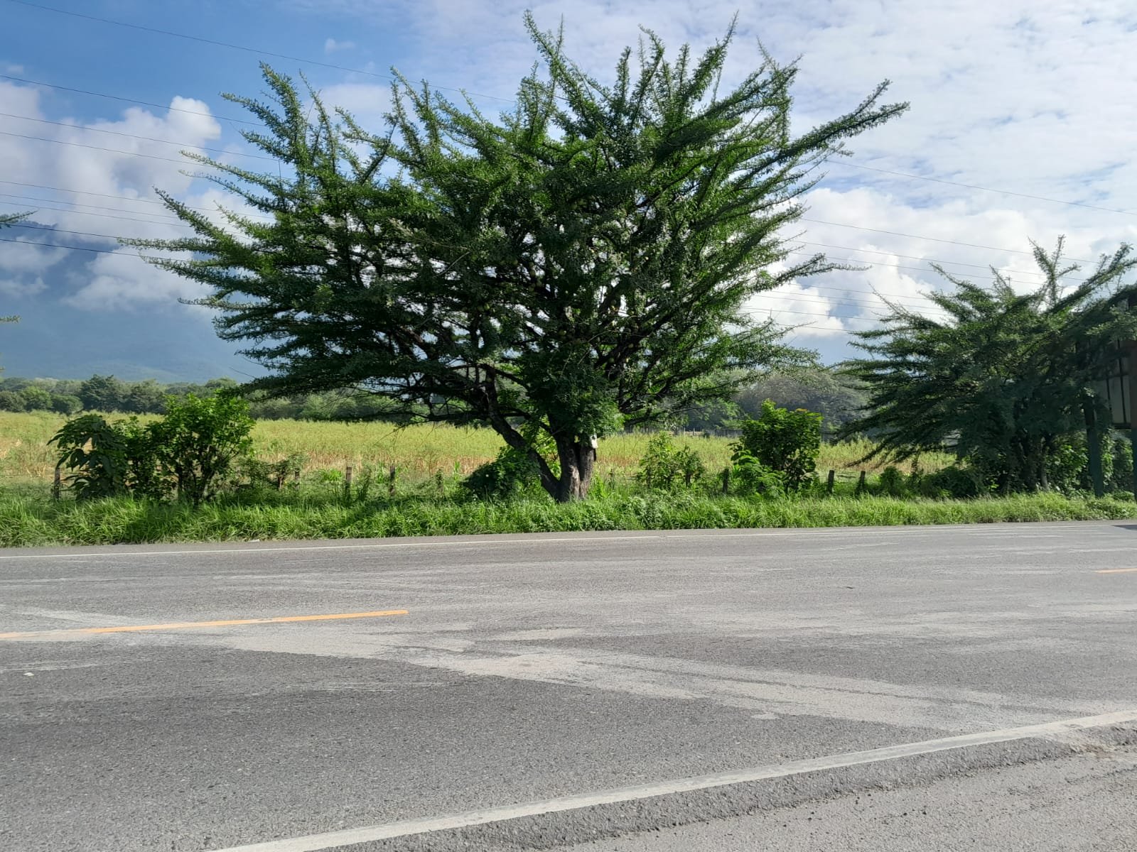 Terreno en venta en Teculután Zacapa