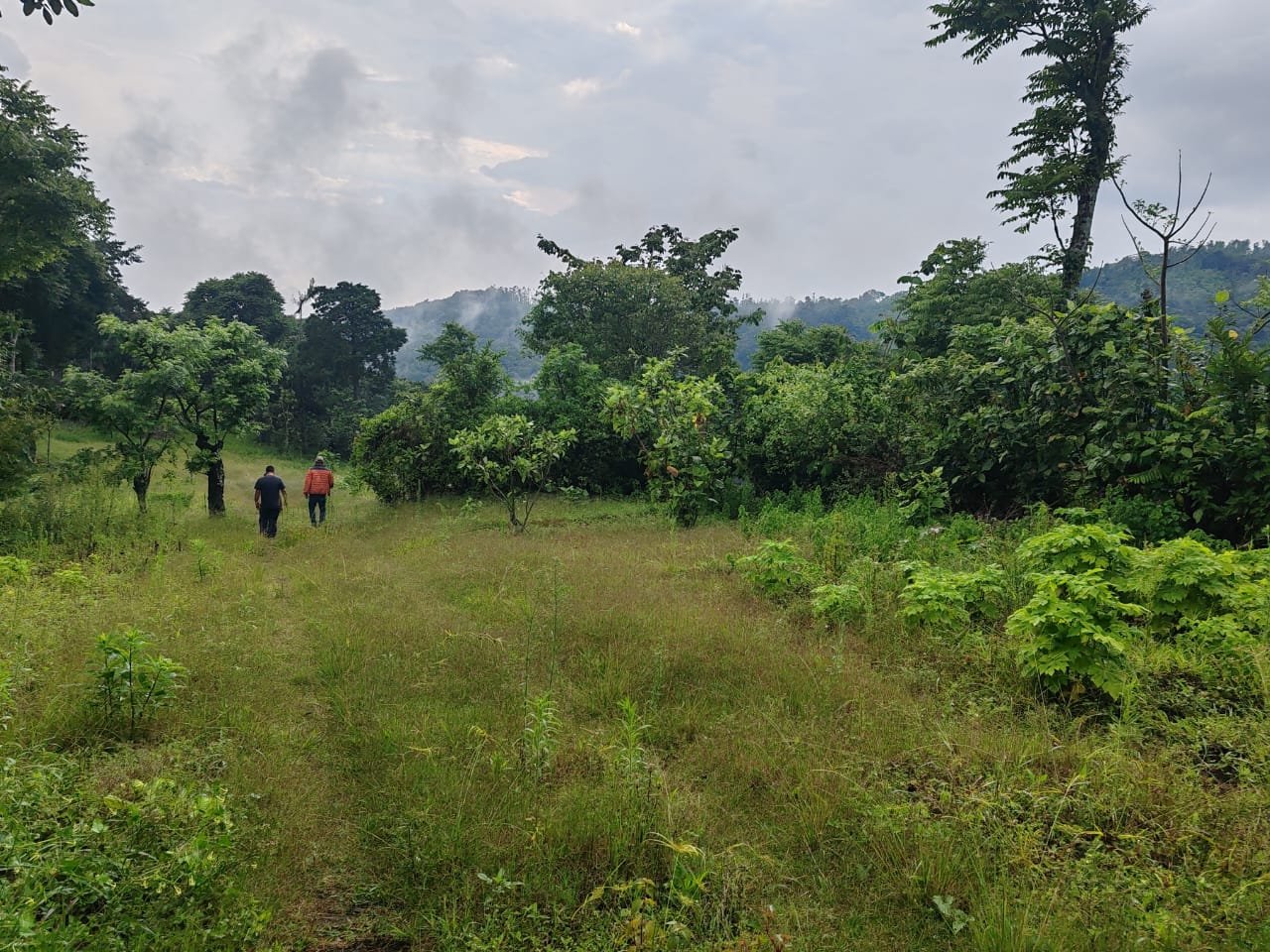 Finca cafetalera en venta 490 cuerdas