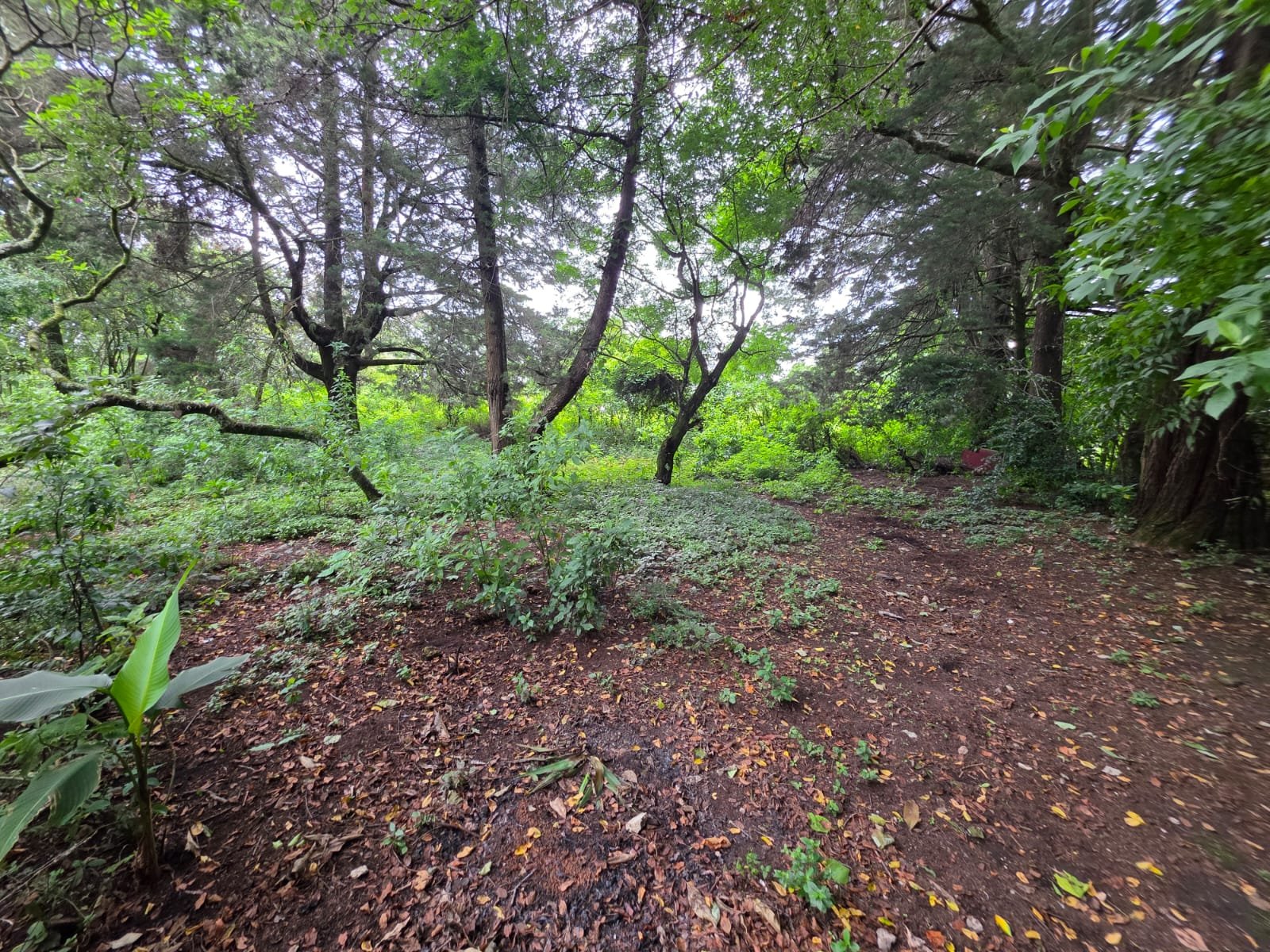 Terreno en venta en Kilometro 27.5 Carretera a El Salvador